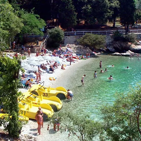Holiday home Family Friendly House With A Swimming Pool Marici, Labin - 17820